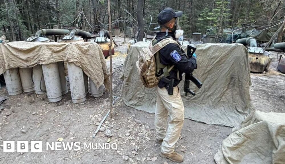 Los laboratorios desmantelados en el operativo en Chihuahua en el que, según informacionesperiodísticas, participaron los dos estadounidenses, medían 850 metros cuadrados y tenían enormes depósitos de acetona, gas y "material blanco".