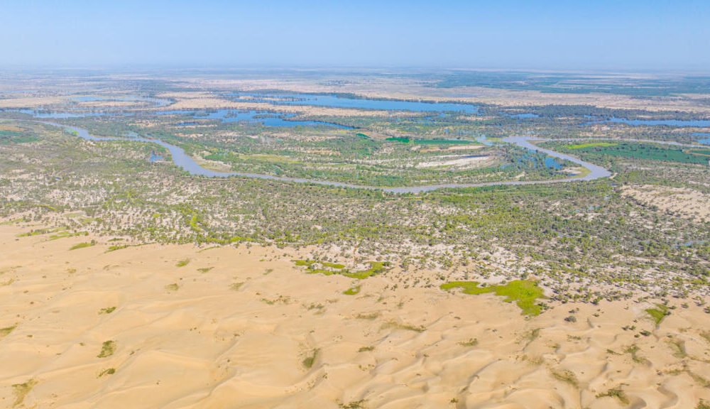 Proyecto 'Construcción Verde' de China transforma desiertos en zonas verdes en Xinjiang. Foto: RFI English