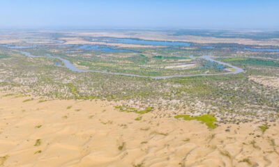 Proyecto 'Construcción Verde' de China transforma desiertos en zonas verdes en Xinjiang. Foto: RFI English