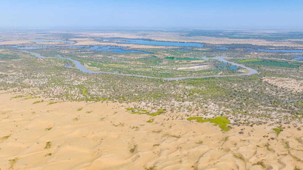 Proyecto 'Construcción Verde' de China transforma desiertos en zonas verdes en Xinjiang. Foto: RFI English