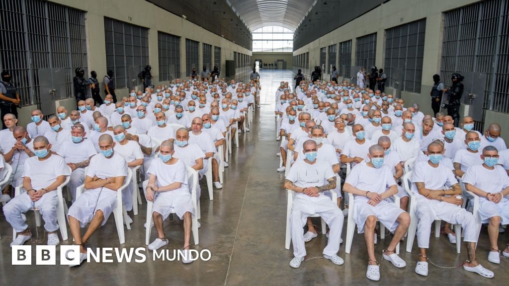 Más de 250 de los imputados están recluidos en el Centro de Confinamiento del Terrorismo (Cecot).