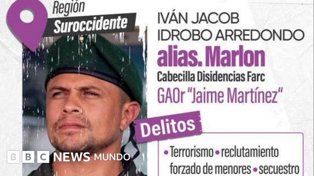 El Ministerio de Defensa publicó la cuantiosa suma que ofrece por "Marlon".