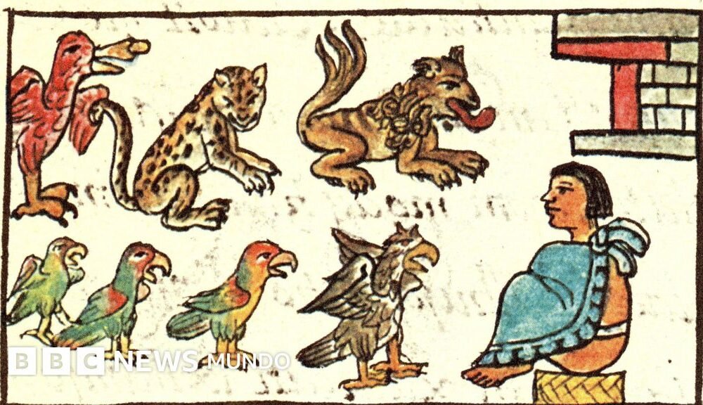 Pie de foto, Los animales eran parte importante de la relación de los mexicas (o aztecas) con el universo.