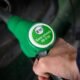 AIE agotamiento récord — La guerra de EE. UU. e Israel contra Irán convulsiona los mercados mundiales de energía y de valores, disparando los precios del petróleo, después de que Teherán bloqueara el estratégico estrecho de Ormuz. Tomada por: Loic Venance/AFP