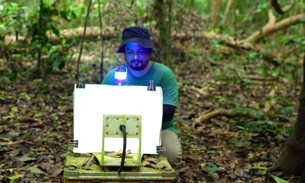 diversidad oscura — Investigadores realizan una estación de investigación científica en Isla Barro Colorado, Panamá, para estudiar la biodiversidad local. Foto de: Smithsonian Archives