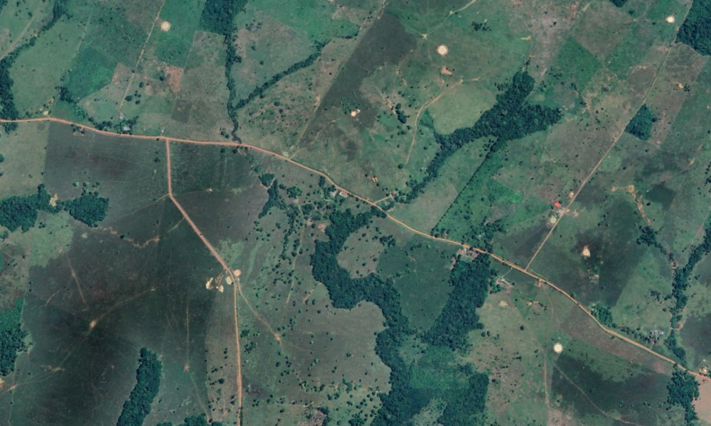 Imagen de la cobertura sobre Elecciones en Colombia: candidatos presidenciales ignoran la crisis ambiental mi. Foto de: Defensoría del Pueblo y la Naturaleza