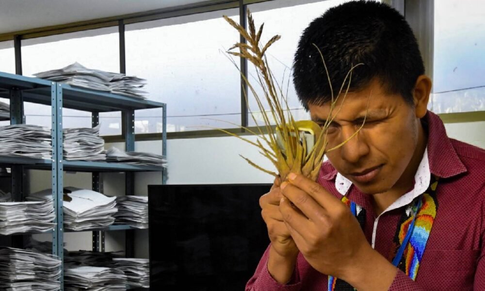 herbario ciencia ancestral Putumayo — Imagen de la cobertura sobre Colombia: un herbario en el Putumayo une ciencia y saber ancestral para defender. Foto de: comunidades inga y kamentsa