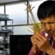 herbario ciencia ancestral Putumayo — Imagen de la cobertura sobre Colombia: un herbario en el Putumayo une ciencia y saber ancestral para defender. Foto de: comunidades inga y kamentsa