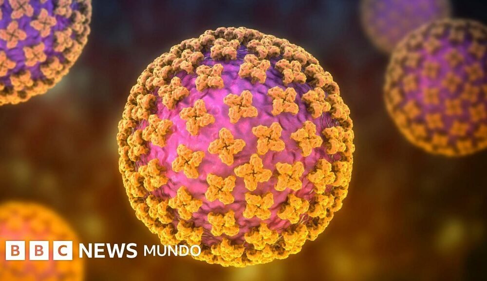 hantaviruscrucero — Cartel de alerta contra el hantavirus en un parque natural en Estados Unidos.