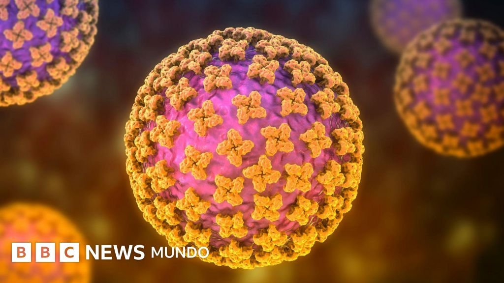hantaviruscrucero — Cartel de alerta contra el hantavirus en un parque natural en Estados Unidos.
