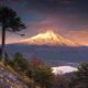 Parque Nacional — Imagen de la cobertura sobre Conguillío: el parque chileno que conserva paisajes de la era de los dinosaurios. Foto de: Mongabay Perú