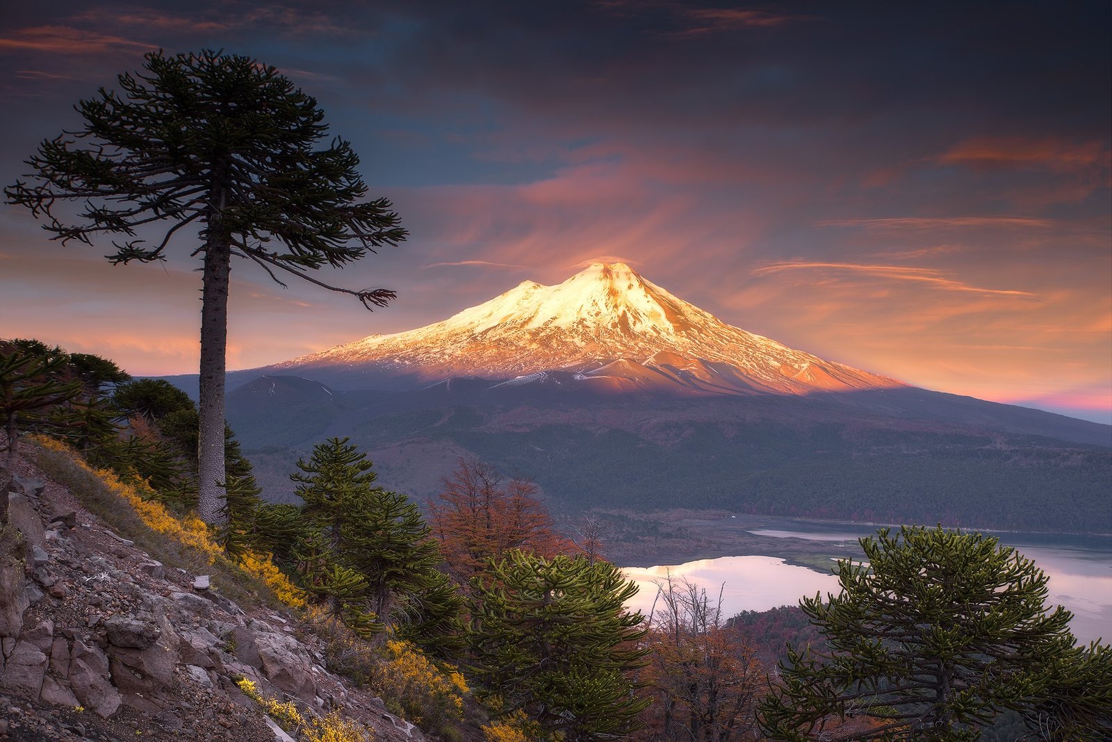 Parque Nacional — Imagen de la cobertura sobre Conguillío: el parque chileno que conserva paisajes de la era de los dinosaurios. Foto de: Mongabay Perú
