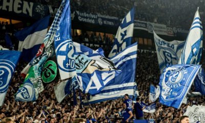 Schalke asegura regreso — Las gradas del Veltins Arena