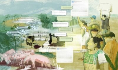 ataques digitales — Habitantes de Yucatán marchan en defensa de su territorio frente a la degradación ambiental y las amenazas contra defensores. Foto de: Colectivo Defensores y Protectores del Futuro de Ixil