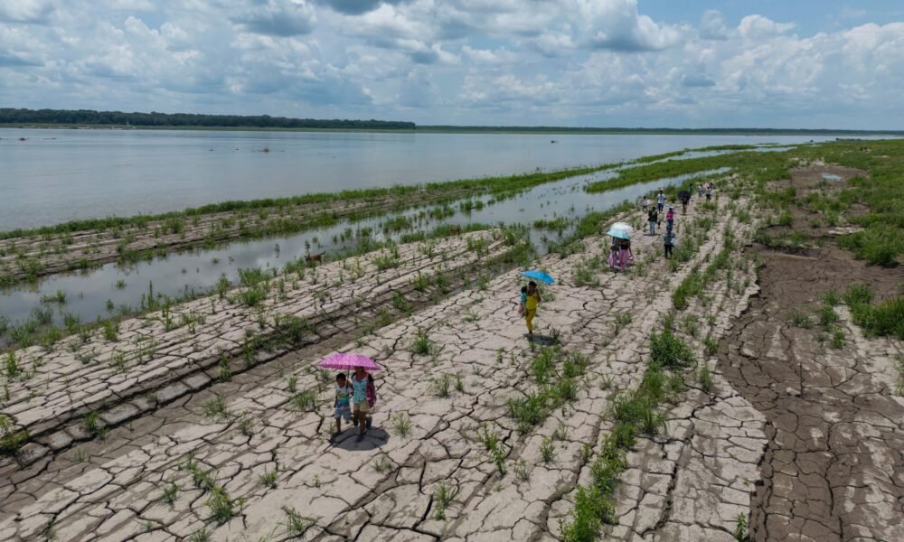 Gran Chaco — Personas caminan sobre suelo agrietado por la sequía en Choluteca, Honduras, una zona afectada por la crisis climática y la desertificación. Foto de: FAO/Alcides Rodríguez