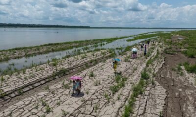 Gran Chaco — Personas caminan sobre suelo agrietado por la sequía en Choluteca, Honduras, una zona afectada por la crisis climática y la desertificación. Foto de: FAO/Alcides Rodríguez