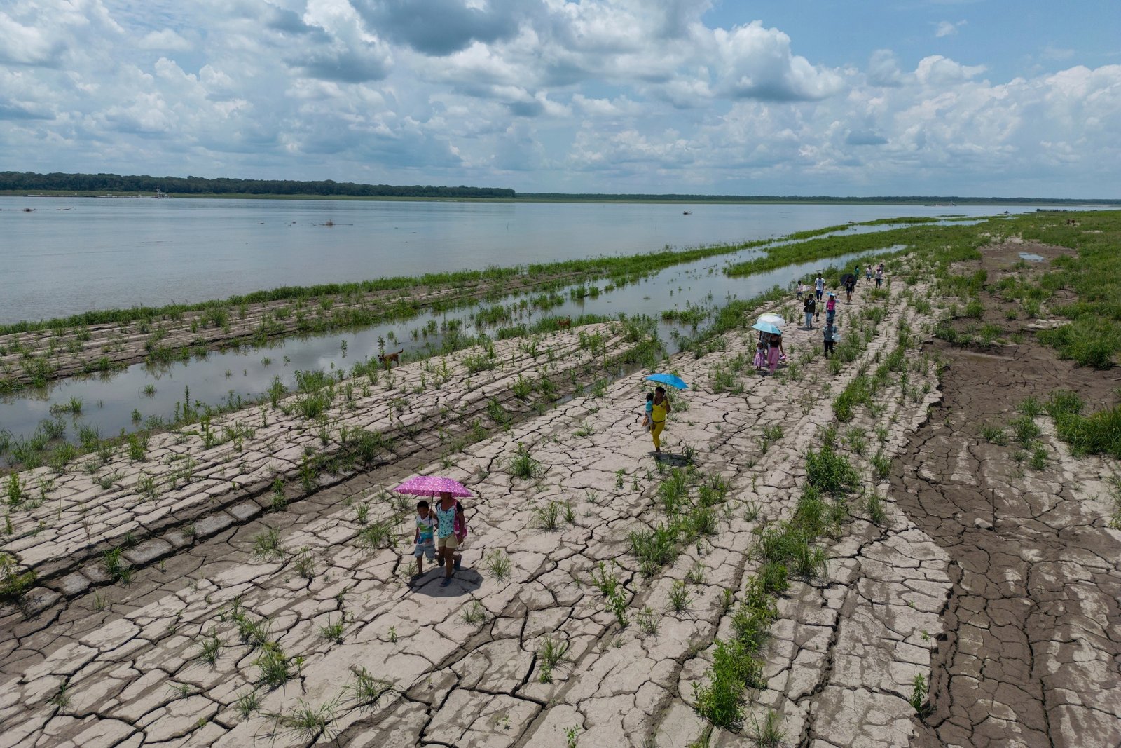 Gran Chaco — Personas caminan sobre suelo agrietado por la sequía en Choluteca, Honduras, una zona afectada por la crisis climática y la desertificación. Foto de: FAO/Alcides Rodríguez