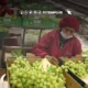 empleos región Piura — Trabajadores en una planta de empaque de uvas enfrentan la incertidumbre laboral ante las condiciones climáticas adversas en la región Piura. Foto de: ELTIEMPO.PE