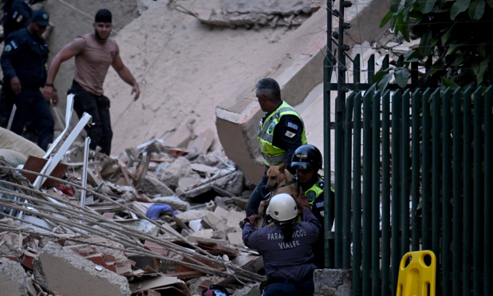 ayuda humanitaria — Personal de rescate y un perro de búsqueda trabajan entre los escombros tras un desastre en una zona urbana. Foto de: Perú21