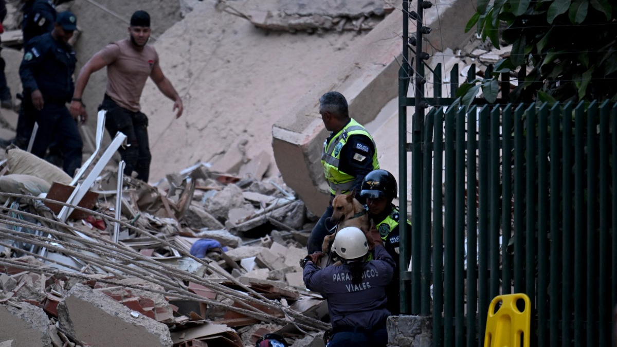 ayuda humanitaria — Personal de rescate y un perro de búsqueda trabajan entre los escombros tras un desastre en una zona urbana. Foto de: Perú21