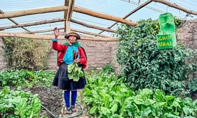 Gobierno peruano invierte — Una agricultora muestra sus productos en un fitotoldo, estructura que el gobierno busca proteger contra las heladas en diversas regiones del Perú. Foto de: El Peruano