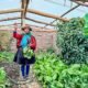 Gobierno peruano invierte — Una agricultora muestra sus productos en un fitotoldo, estructura que el gobierno busca proteger contra las heladas en diversas regiones del Perú. Foto de: El Peruano