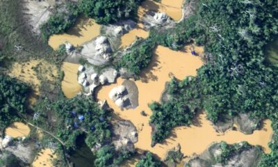 Imagen de la cobertura sobre Minería ilegal, crimen organizado y violencia: la agenda ambiental que le espera. Foto de: Confemin Perú