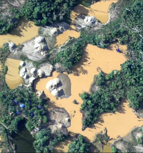 Imagen de la cobertura sobre Minería ilegal, crimen organizado y violencia: la agenda ambiental que le espera. Foto de: Confemin Perú