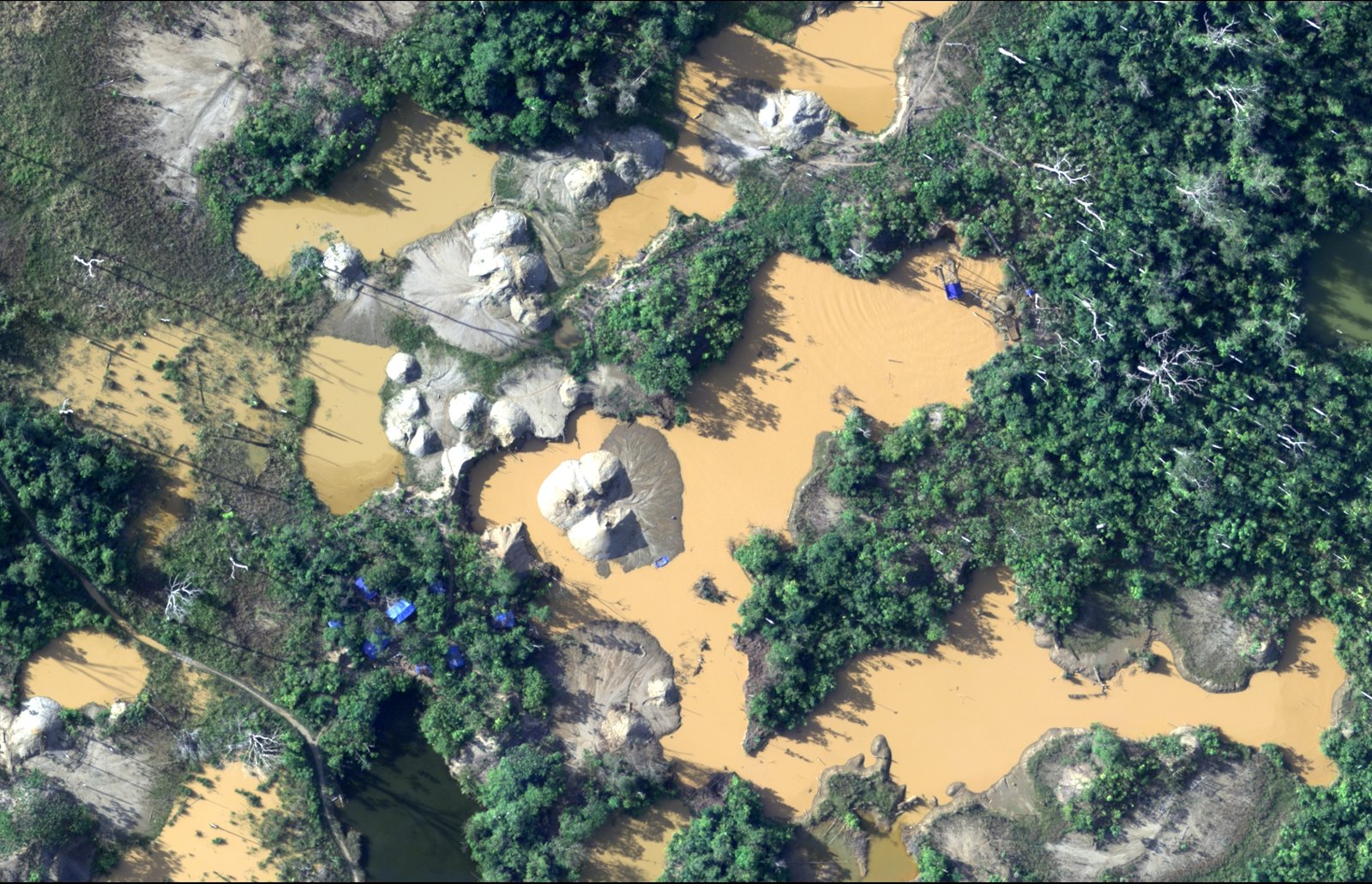 Imagen de la cobertura sobre Minería ilegal, crimen organizado y violencia: la agenda ambiental que le espera. Foto de: Confemin Perú