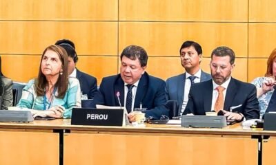 Ministerio Salud Perú — Representantes de Perú participan en una sesión de la OCDE para presentar la transformación del sistema sanitario nacional. Foto de: El Peruano