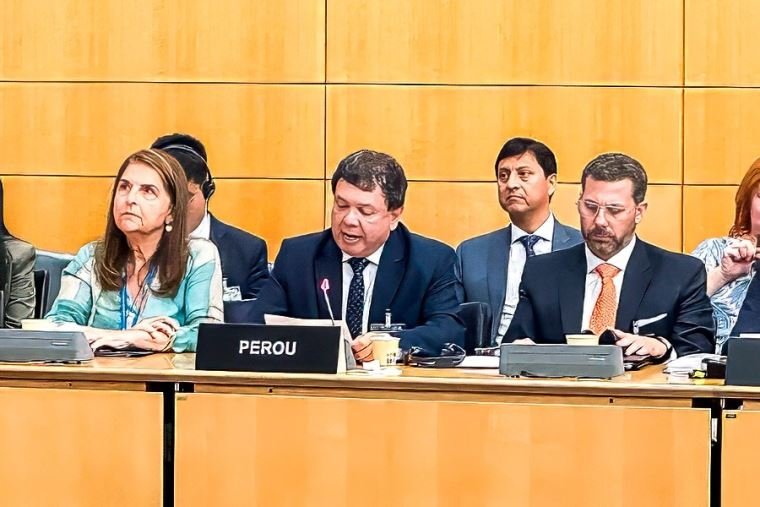 Ministerio Salud Perú — Representantes de Perú participan en una sesión de la OCDE para presentar la transformación del sistema sanitario nacional. Foto de: El Peruano