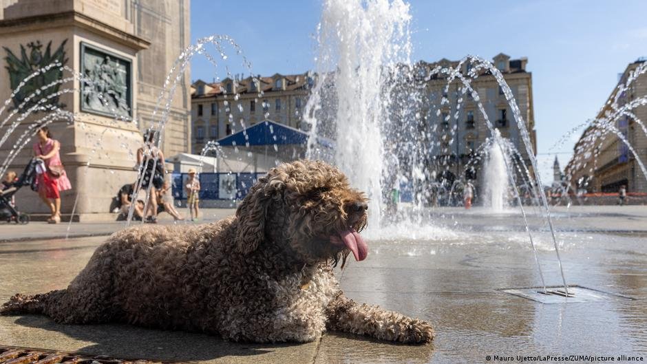 Muertos niños automóvil — Un perro se refresca en una fuente durante la intensa ola de calor que afecta a Europa. Foto de: Mauro Ujsesko/LaPresse/ZUM