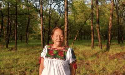 defensa territorio Ocumicho — María Filomena Ríos representa a la comunidad de Ocumicho en su lucha por recuperar sus bosques y territorio ancestrales. Foto de: Consejo Comunal Autónomo P’urhépecha de Ocumicho