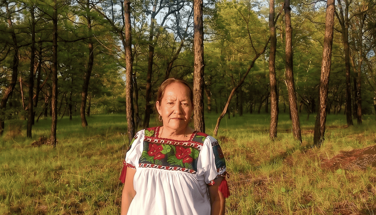 defensa territorio Ocumicho — María Filomena Ríos representa a la comunidad de Ocumicho en su lucha por recuperar sus bosques y territorio ancestrales. Foto de: Consejo Comunal Autónomo P’urhépecha de Ocumicho