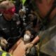 Venezuela enfrenta devastación — Un rescatista con pañuelo rojo y uniforme oscuro asiste a una persona que usa mascarilla mientras otros uniformados observan. Foto de: news.google.com
