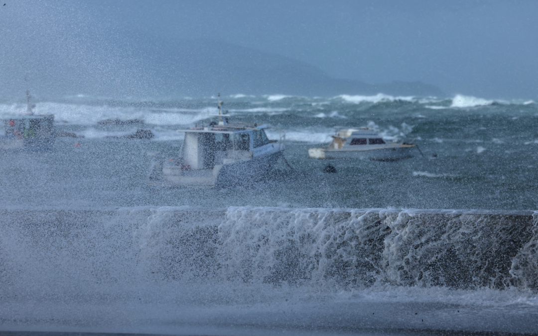 Wellington declara emergencia — Imagen de la cobertura sobre Nueva Zelanda evacúa a cientos de personas en su capital por olas de 11 metros. Foto de: Perú21
