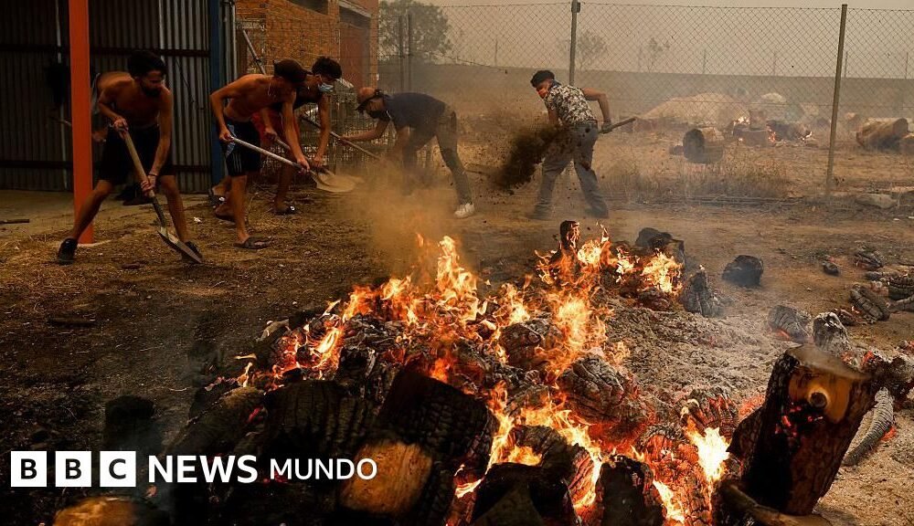 incendios forestales — Alumnos de un gimnasio intentan sofocar las llamas de un incendio forestal que afectó a la provincia de Ávila en España. Foto de: Getty Images