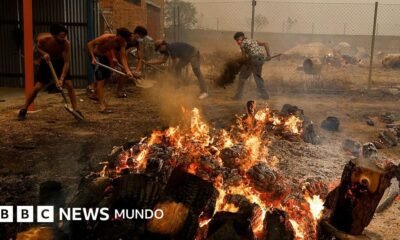 incendios forestales — Alumnos de un gimnasio intentan sofocar las llamas de un incendio forestal que afectó a la provincia de Ávila en España. Foto de: Getty Images