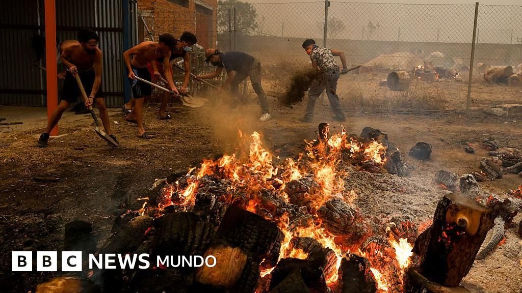 incendios forestales — Alumnos de un gimnasio intentan sofocar las llamas de un incendio forestal que afectó a la provincia de Ávila en España. Foto de: Getty Images
