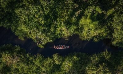 riesgo económico — Una vista aérea de una canoa navegando por un río rodeado de densa vegetación, ilustrando la problemática de la deforestación en Perú. Foto de: Gestión