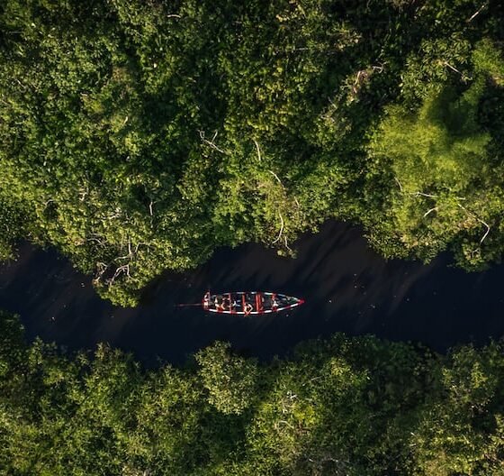 riesgo económico — Una vista aérea de una canoa navegando por un río rodeado de densa vegetación, ilustrando la problemática de la deforestación en Perú. Foto de: Gestión