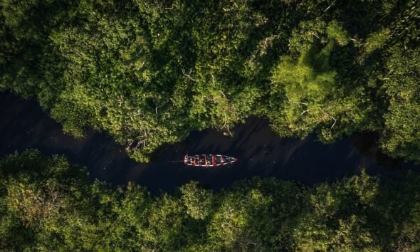 riesgo económico — Una vista aérea de una canoa navegando por un río rodeado de densa vegetación, ilustrando la problemática de la deforestación en Perú. Foto de: Gestión