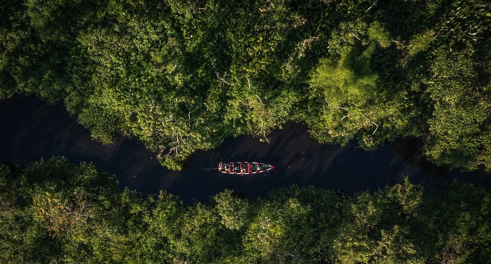 riesgo económico — Una vista aérea de una canoa navegando por un río rodeado de densa vegetación, ilustrando la problemática de la deforestación en Perú. Foto de: Gestión