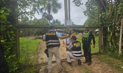 Lita Ferreyra Ahunari, — Agentes de la policía peruana realizan una inspección en un área rural tras el operativo contra el tráfico de fauna silvestre. Foto de: Mongabay Perú