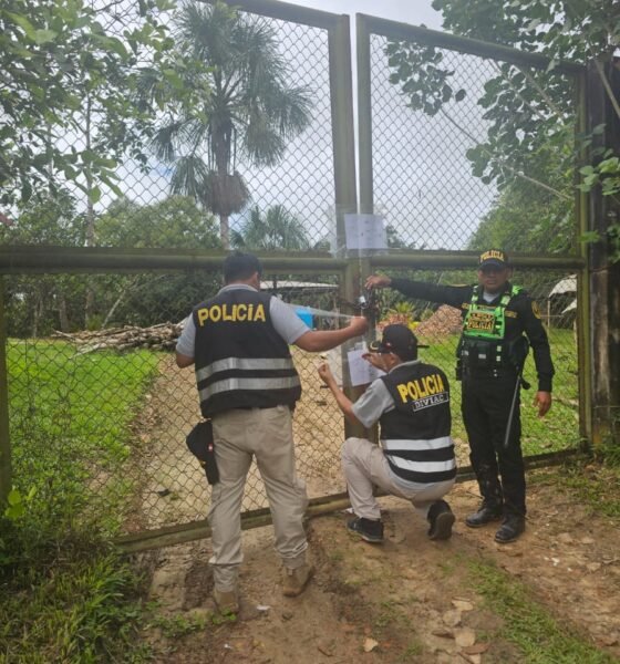 Lita Ferreyra Ahunari, — Agentes de la policía peruana realizan una inspección en un área rural tras el operativo contra el tráfico de fauna silvestre. Foto de: Mongabay Perú