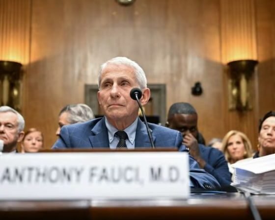 Quinta Enmienda — El Dr. Anthony Fauci comparece ante el Senado de Estados Unidos para testificar sobre la gestión de la pandemia de COVID-19. Foto de: CNN en Español
