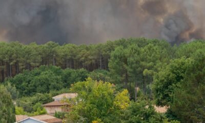 evacuación incendios Francia — Humo denso se eleva sobre los bosques de la región de Lège-Cap-Ferret en Francia debido a los incendios forestales. Foto de: Caroline Blumberg/AP Photo