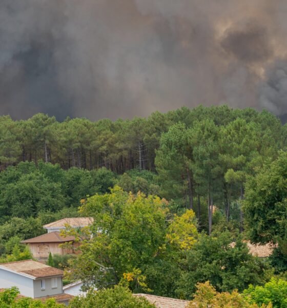 evacuación incendios Francia — Humo denso se eleva sobre los bosques de la región de Lège-Cap-Ferret en Francia debido a los incendios forestales. Foto de: Caroline Blumberg/AP Photo