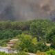 evacuación incendios Francia — Humo denso se eleva sobre los bosques de la región de Lège-Cap-Ferret en Francia debido a los incendios forestales. Foto de: Caroline Blumberg/AP Photo