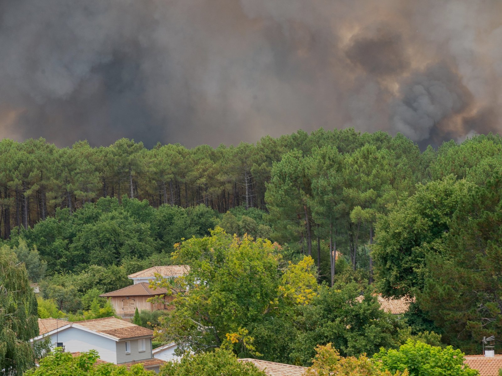 evacuación incendios Francia — Humo denso se eleva sobre los bosques de la región de Lège-Cap-Ferret en Francia debido a los incendios forestales. Foto de: Caroline Blumberg/AP Photo